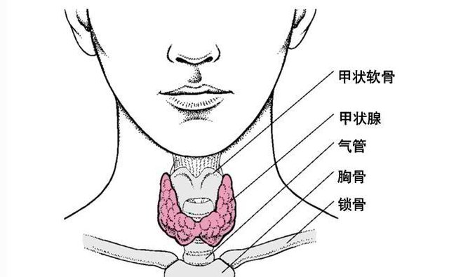 大庆市甲状腺癌占人口的多少_大庆市地图