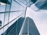 农村里这种食用菌，农民靠它月入8千块，如今市面上供不应求