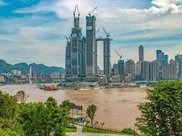 四川农村大叔种的水果，一树能摘100多斤，这挂果率也太高了吧