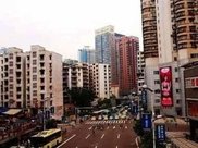 过完年不想外出打工，试试在家种它，种成功了，亩赚万元不是梦