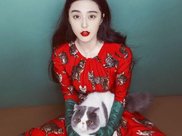 恰尔汗奥卢证实离婚:发生了很严重且不可原谅的事情