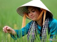 世界上鱼最多的湖：有着8亿公斤的鱼却没人敢钓，就在我们中国！
