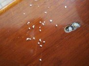 街拍路人，美美的夏日清凉穿搭参考，让你感受回头率飙升的喜悦感