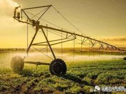 农民工来手机店被女孩瞧不起，接下来农民工的做法让人竖起大拇指