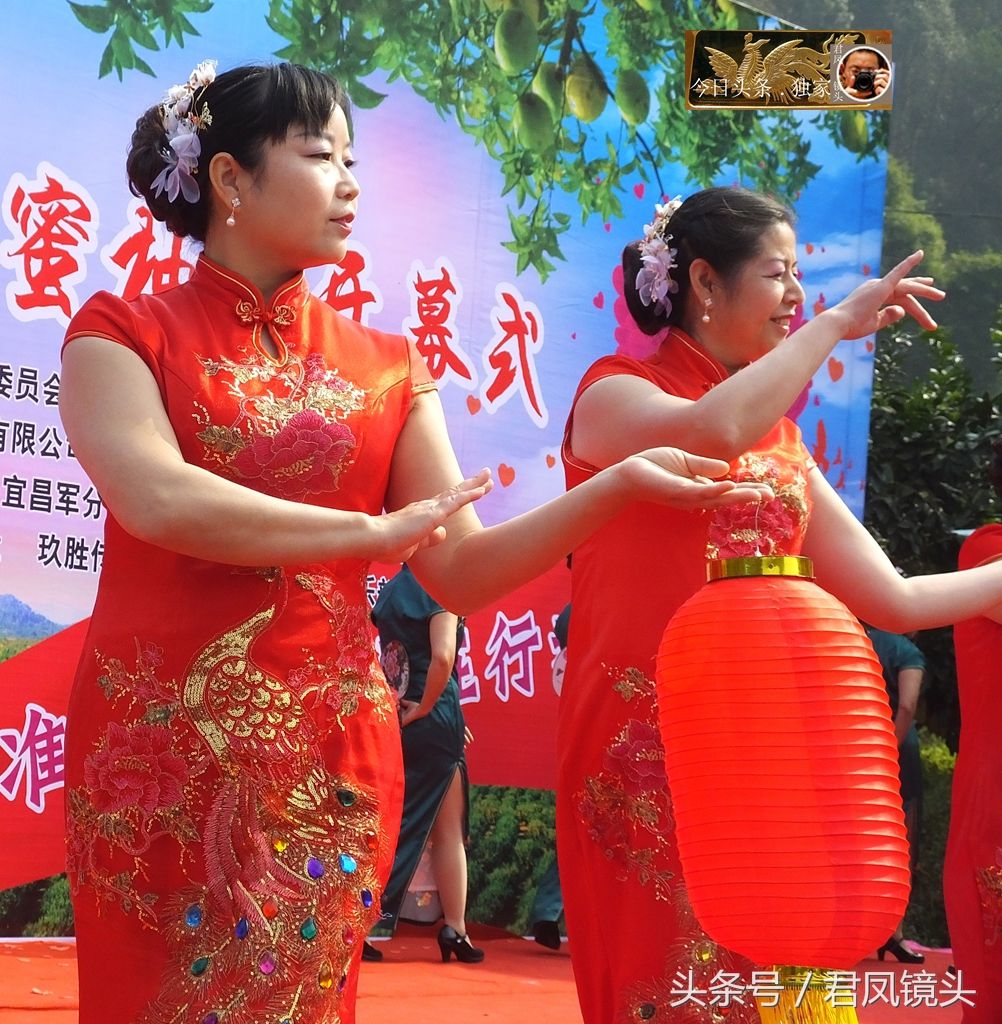 湖北宜昌:大妈在乡村蜜柚节上秀旗袍 农民都说