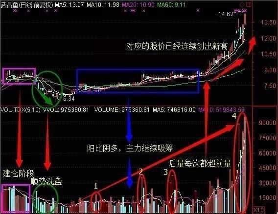 中国股市暴利时代背后的阴谋被戳穿，新一轮熊市将来袭！