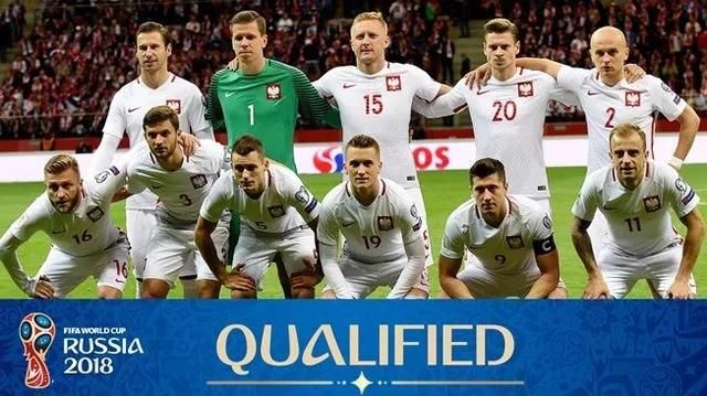 没了意大利、荷兰、智利、美国的俄罗斯世界杯