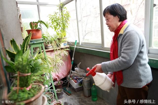 儿子瞒着我领结婚证后，把新媳妇带回来一趟，我决定把房子卖了