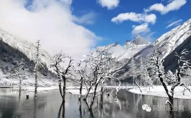 @所有人:虽然九寨沟目前只接待旅行社组织的团队游客,但是你还可