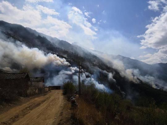 视频解读:为何凉山森林火灾频发?为何扑救难度