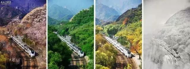 别去日本了！北京这趟6元小火车，带你穿越绝美樱花！沿途风景惊