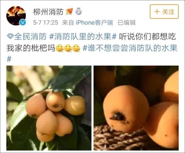 2019年的中华民族