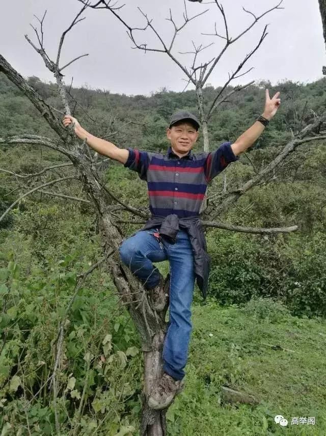 随笔李祖新: 我这么说旅游