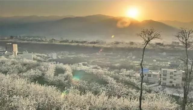 大四川七彩花海要美炸了？最新赏花地图在此，请收好！