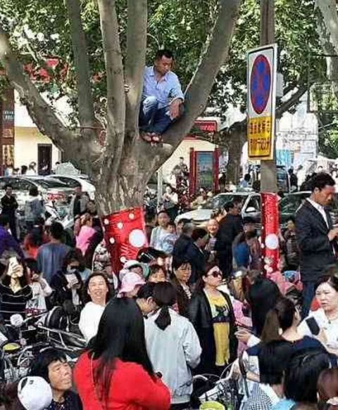 林志颖现身南阳捞金被吓跑,粉丝疯狂不受控制