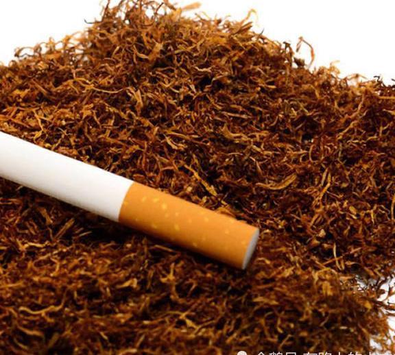 2017年我国烟草公司缴税上万亿元,却造就不出