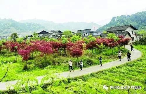 休闲农园销售农产品，设计一套会说话的体验活动才是前题！