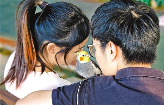 注意! 第三者 出没(图)