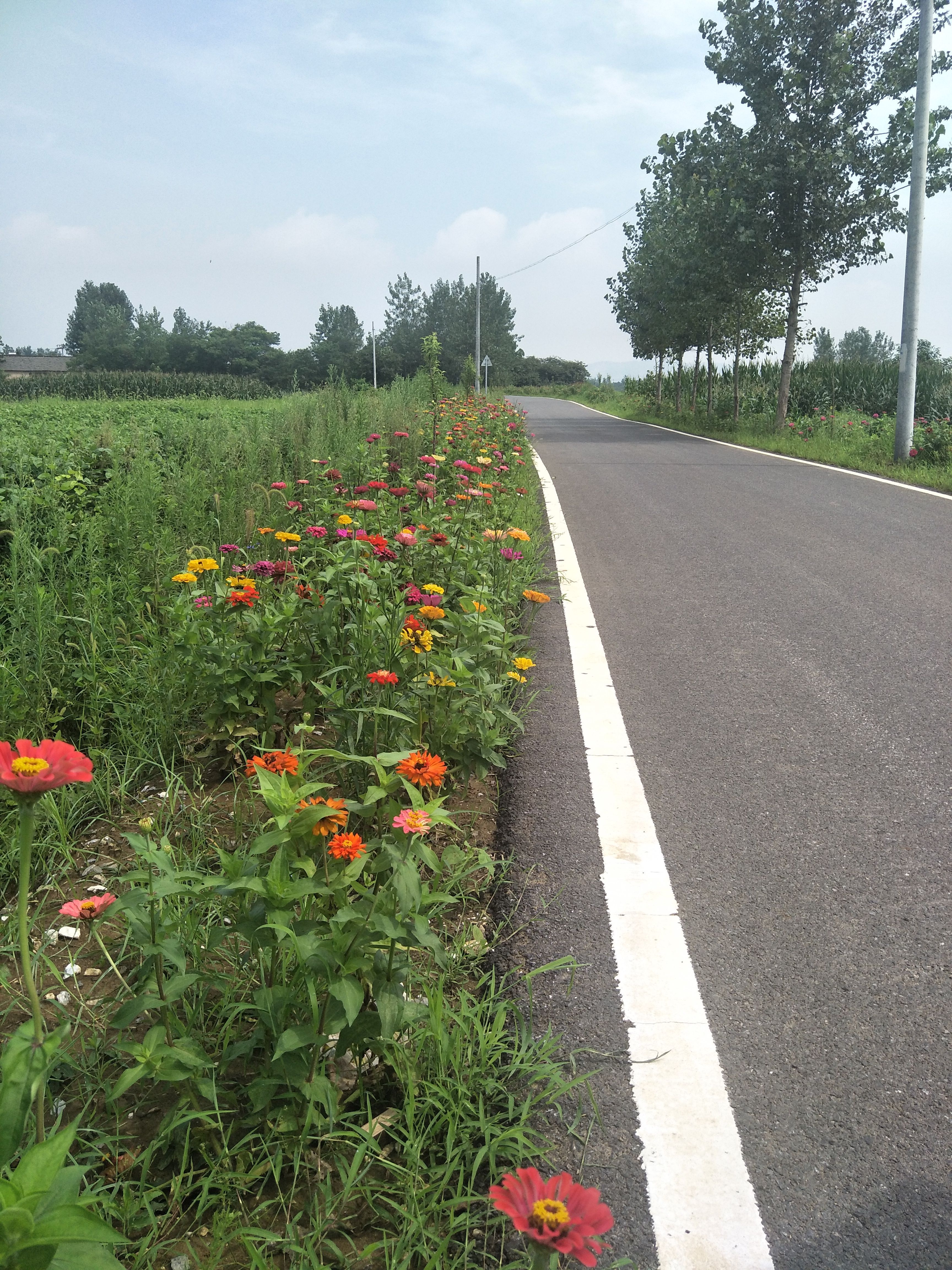 安徽农业大学外国语学院赴巢湖烔炀镇暑期实践