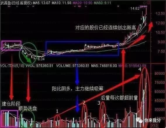 一位资深老股民坚持12年的选股形态，新手学会了，终身受益