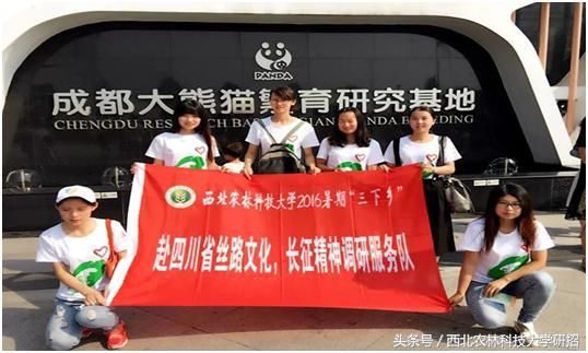 学霸宿舍成双,开挂不分男女,西农两个宿舍全部