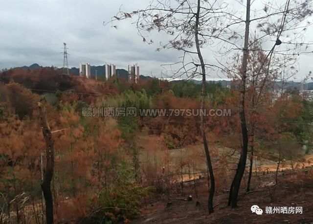 全南县两宗住宅用地挂牌出让 起始近两亿