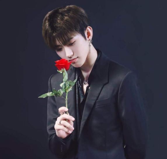 谢娜又收徒,来看看谢娜的徒弟都有谁?分别处于