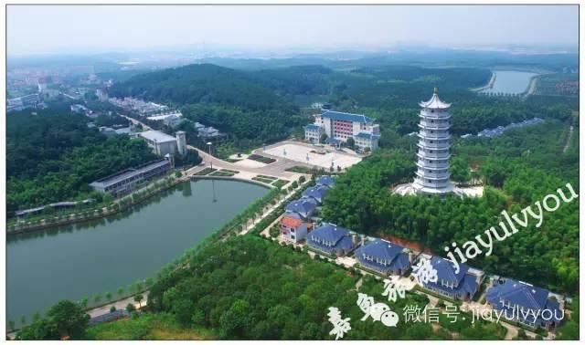 为你的春节聚会活动量身打造春节期间县内主要餐饮、住宿、娱乐场