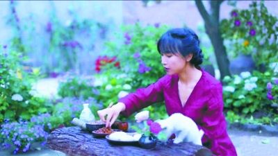 李子柒是否是文化输出