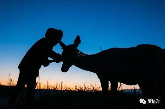 金秋赤峰赛罕乌拉美如仙境，简直是内蒙草原牧民的七彩天堂