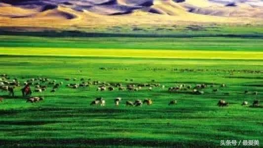 大美新疆，五月你知道去哪里旅行吗？