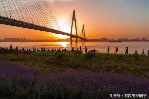 武汉30个春游免费景点大集合!踏青、骑行、拍照来这里就对了!