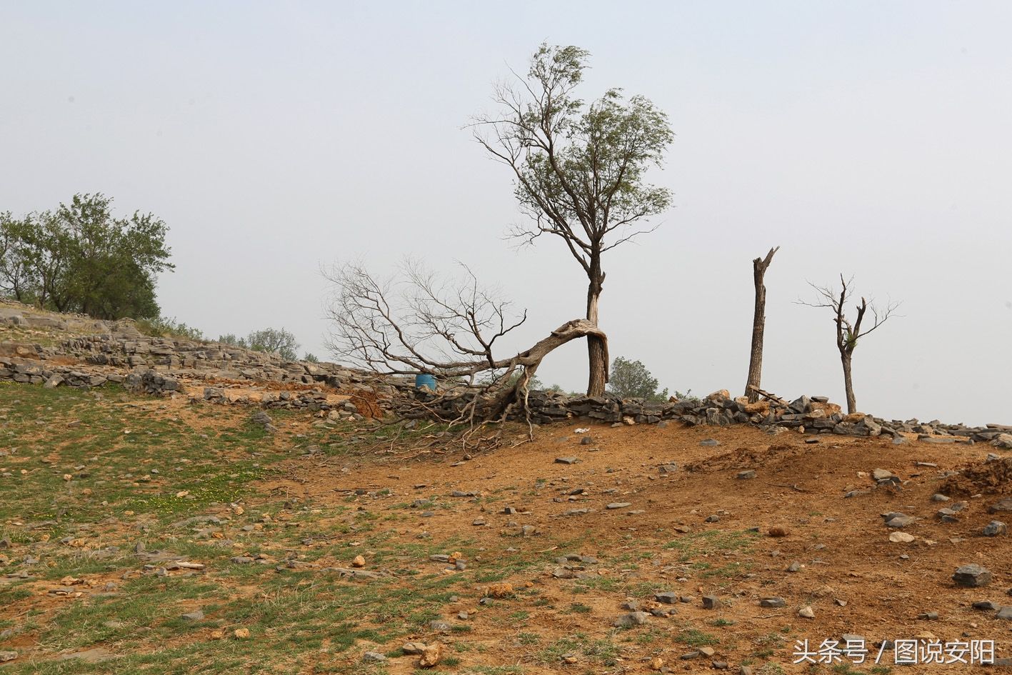 河南淇县:旅游帮扶贫困户 书记成了“店小二”