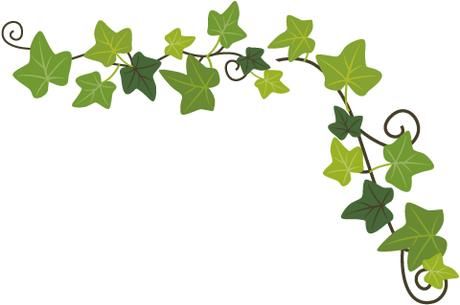 立夏已过，记者小迟给你一份龙江旅游攻略！