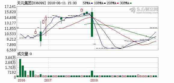 天元集团募资1亿元 用于补充流动资金