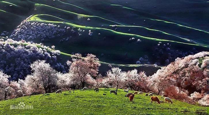 【每月在路上】三月,送你最in的赏花攻略,十大赏花胜地,愿你不