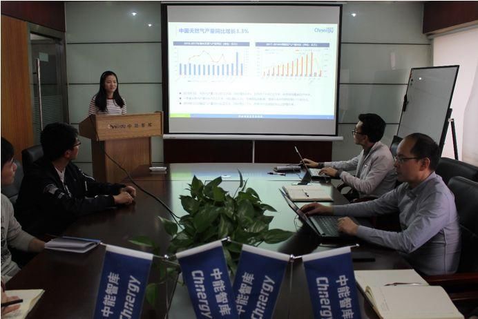 《中国能源形势分析与预测报告》显示 2018年