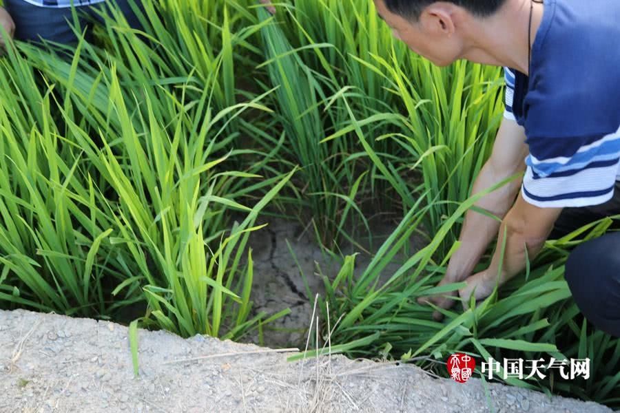 广东高温破纪录 多地旱情持续