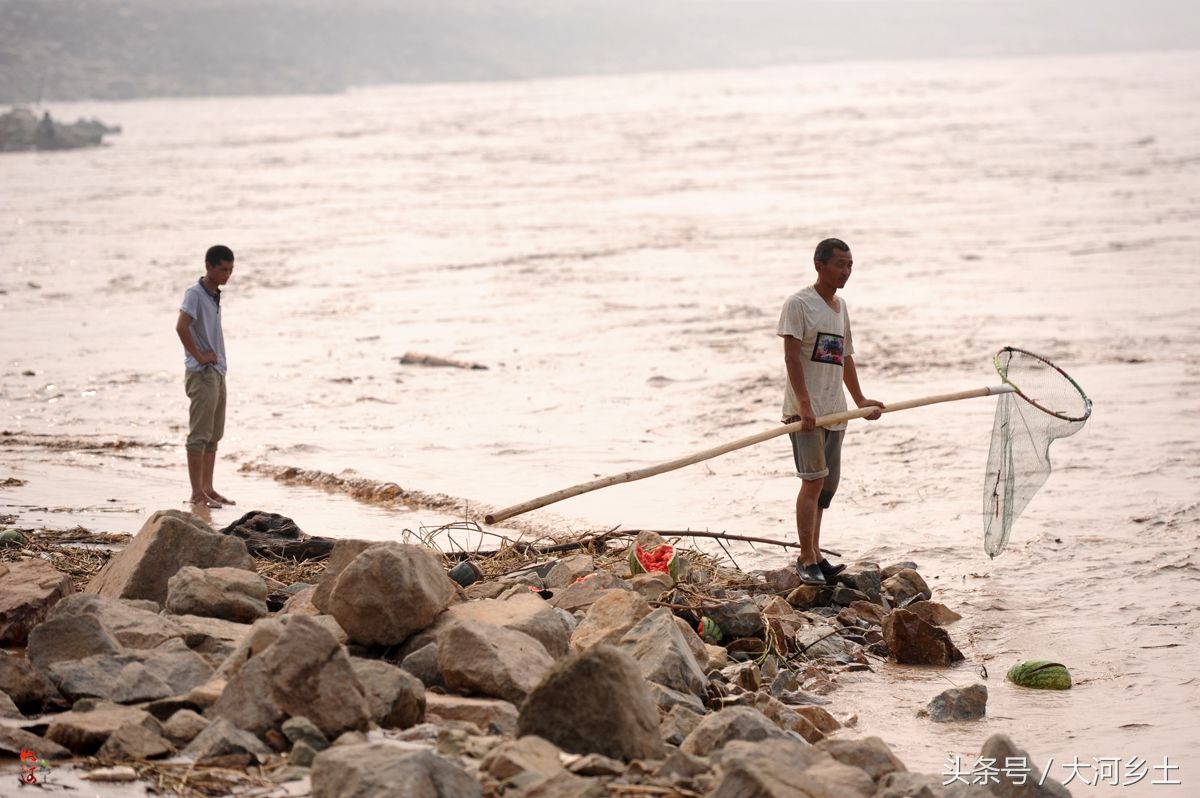 黄河流鱼奇观不再,大叔河边等一天捞了三条鱼,有人却摸起了螃蟹