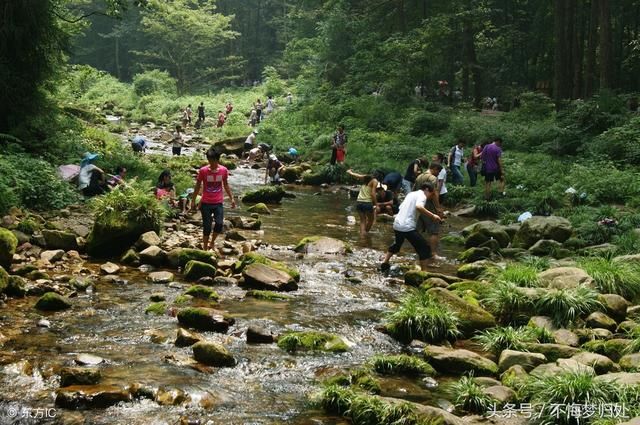 到张家界旅游找旅行社或自由行哪个更划算?行
