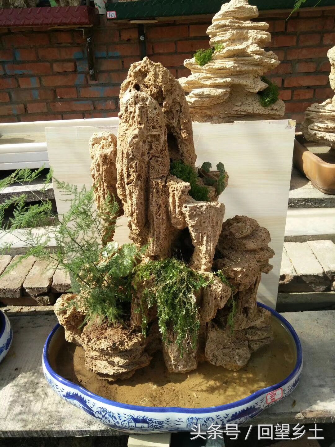 豫西卢氏山区有种石头叫上水石稍加雕琢就是一件盆景作品喜欢吗?