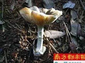 t01035fc6ef9b99c2f7.jpg