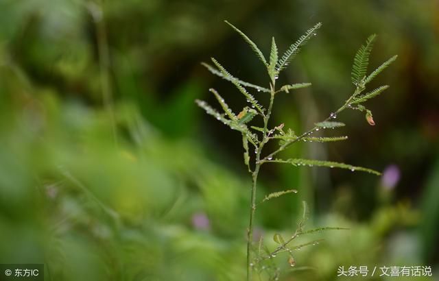 老子和孔子都让人们敬畏自然，为何很多人却妄想着要统治宇宙呢？