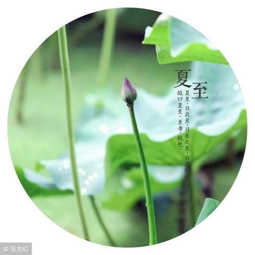 今日夏至 我市局地或有阵雨 天气闷热注意防暑