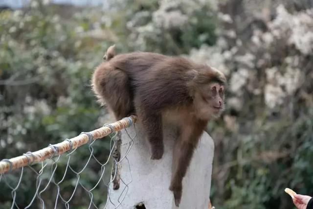 清明踏春冷门景点：看彩林、赏桂花，观峡谷，玩雪水，拒绝人挤人