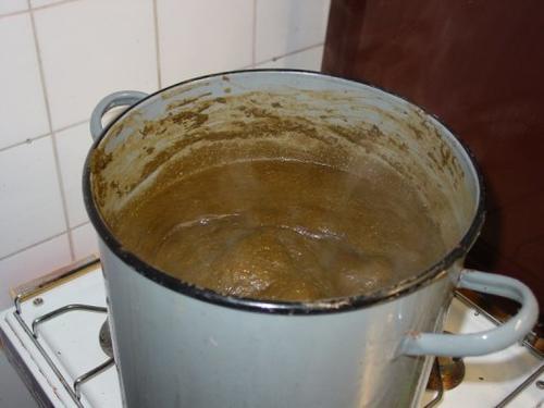 吃屎能治病?专家说吃屎真的能保持肠道健康