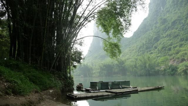 罗城水上相思林，如上天遗落的一颗绿宝石！