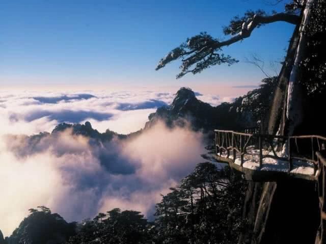 2019年共多少起地震