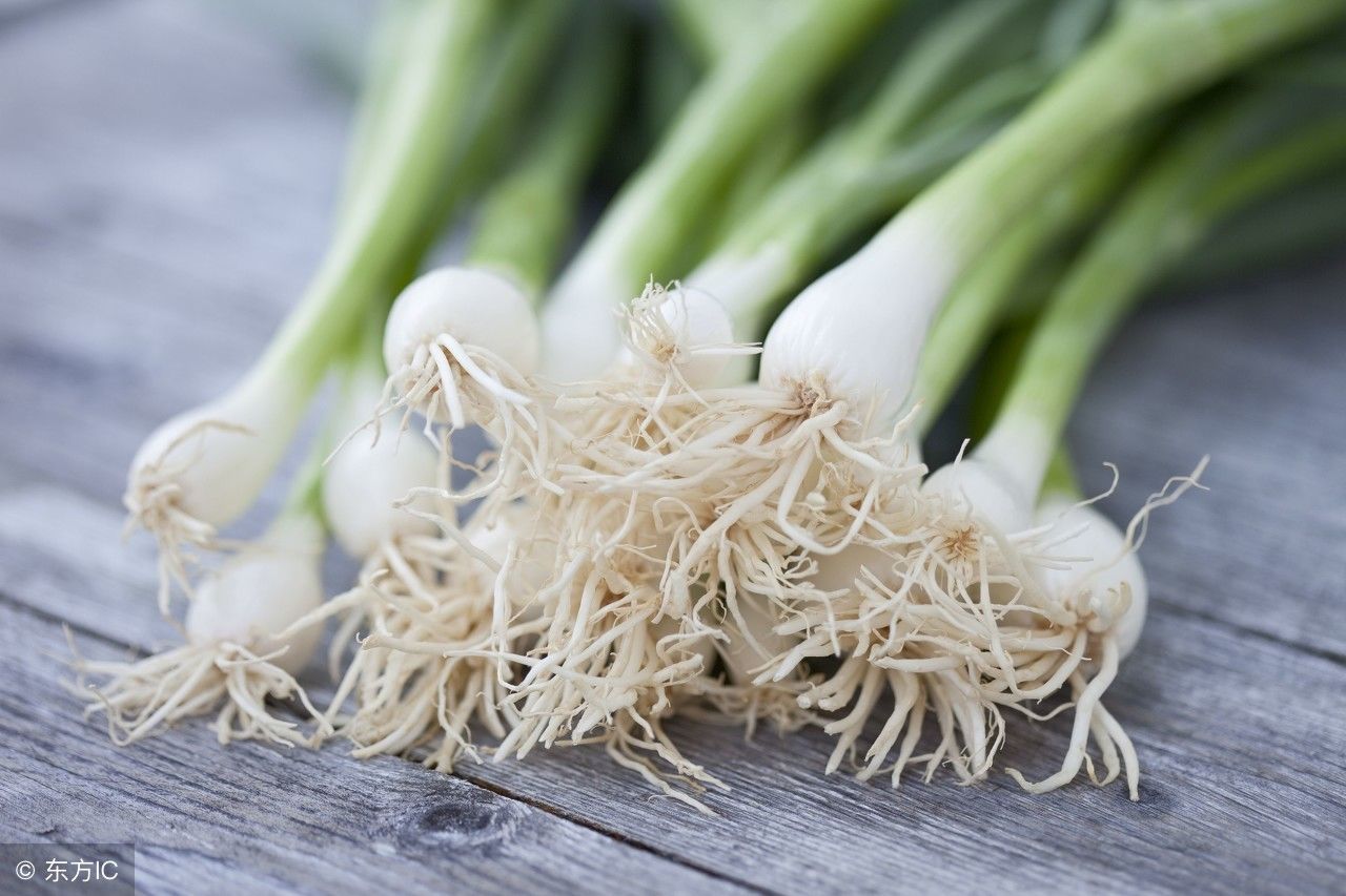 农村大葱的须竟然还有功效,涨知识了