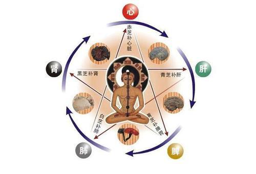 司是什么五行 t010482a655b51cbe1e.jpg